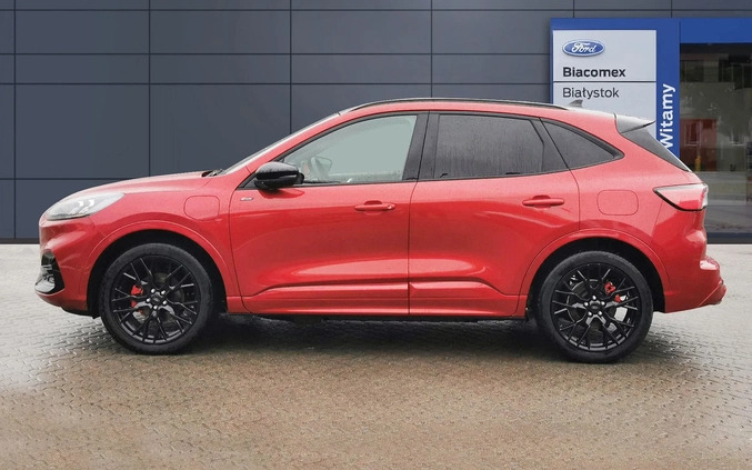 Ford Kuga cena 199900 przebieg: 1, rok produkcji 2023 z Odolanów małe 191